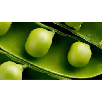 Green Peas  (25)-4739121-91708.webp